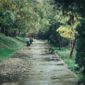 A painting of a dirt road surrounded by trees