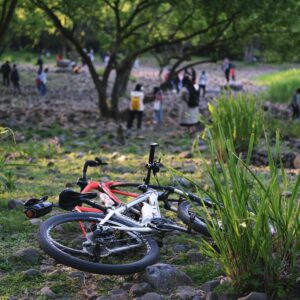 a bicycle laying on the ground in a park